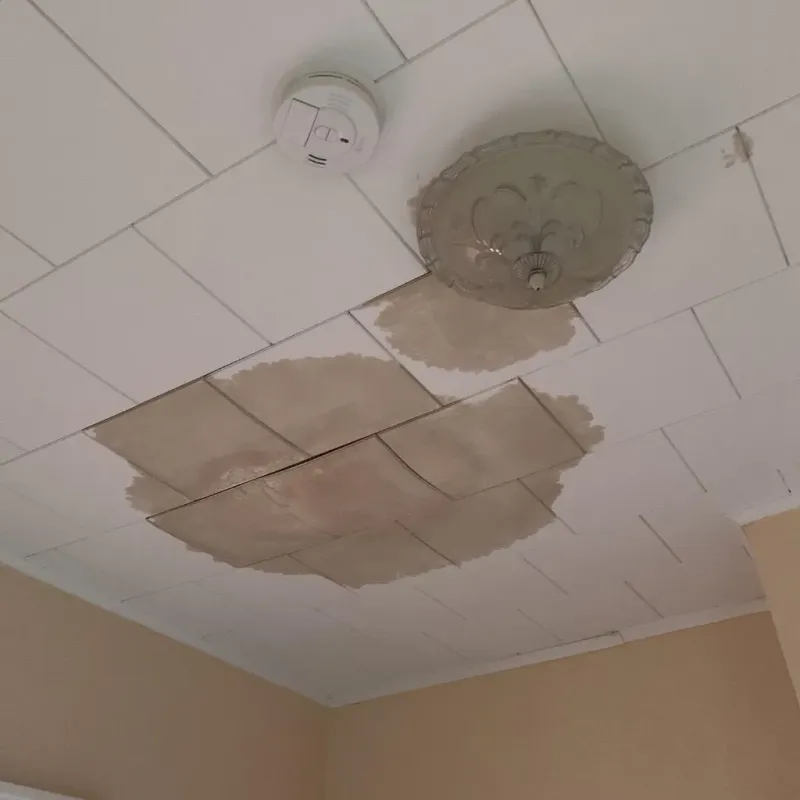 Ceiling Water Damage Repair in Mendham, NJ
